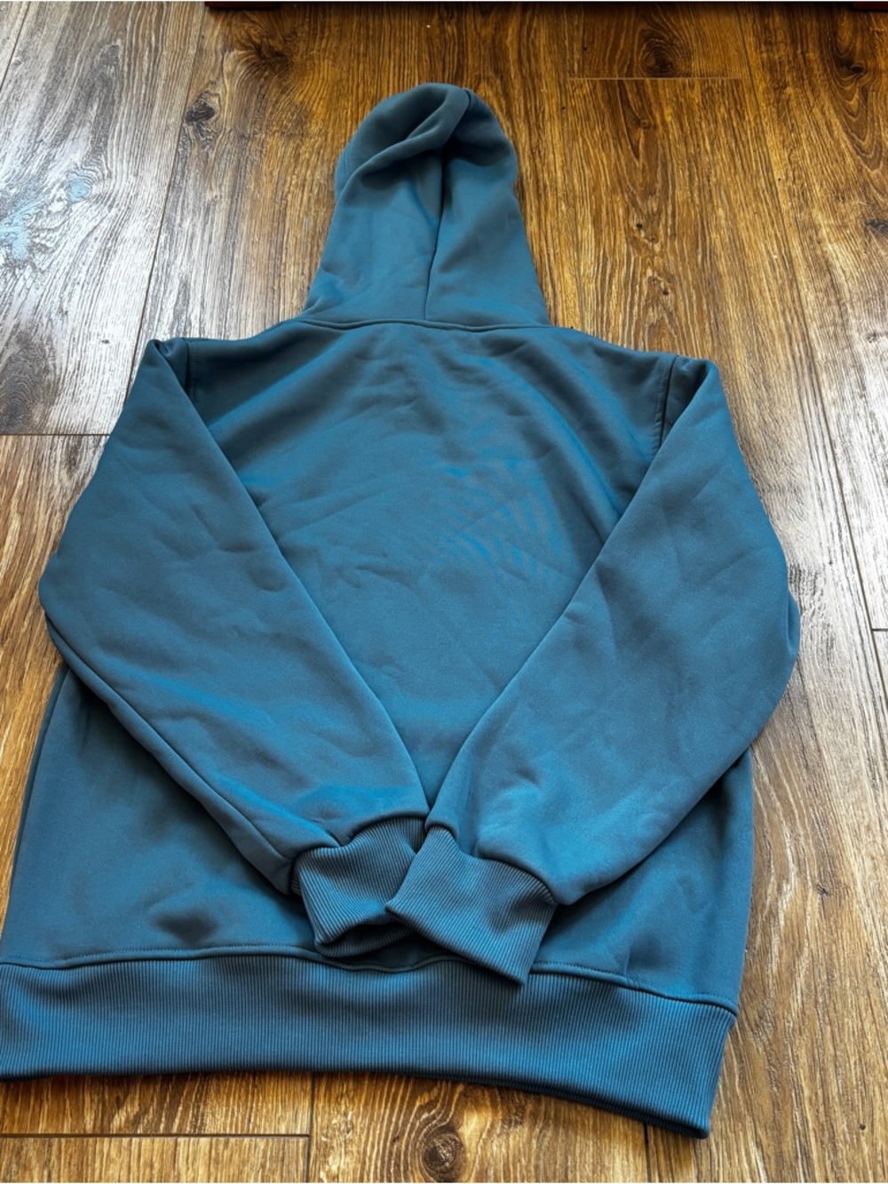 Teal Pullover Hoodie with White Swoosh and Sleeping Creature - Picture 3 of 9
